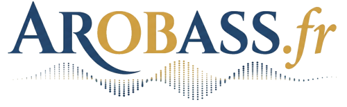 Arobass - Assistant IA local pour entreprises